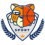 ทีมเกม